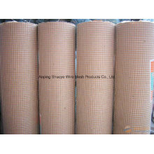 China Supply professional Stainless Steel Welded Wire Mesh/Galvanized Welded Wire Mesh /PVC Welded Wire Emsh